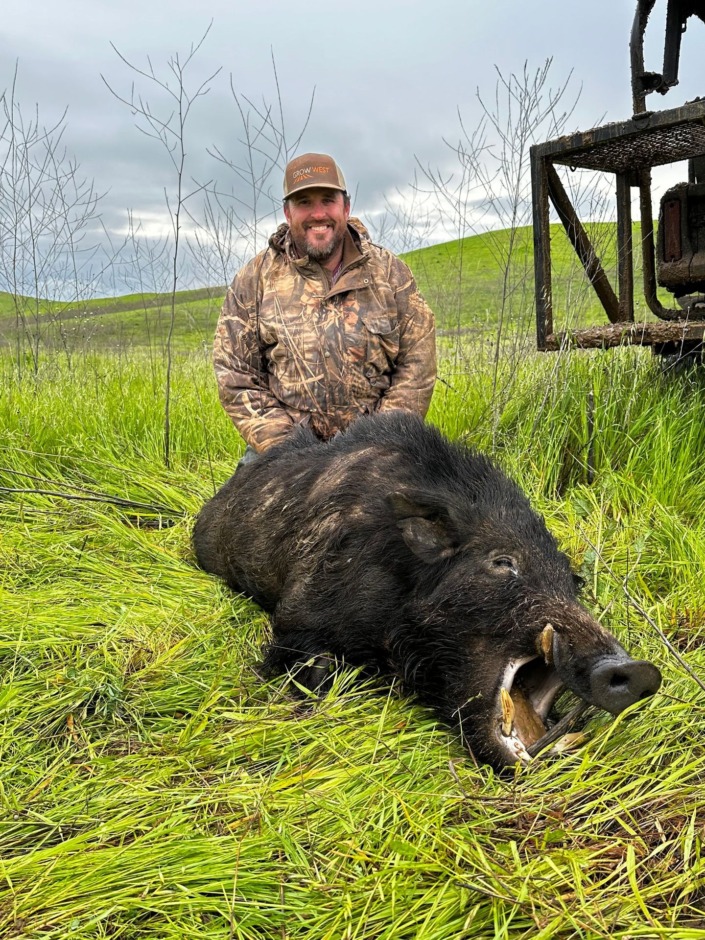 Wild Pig Hunts